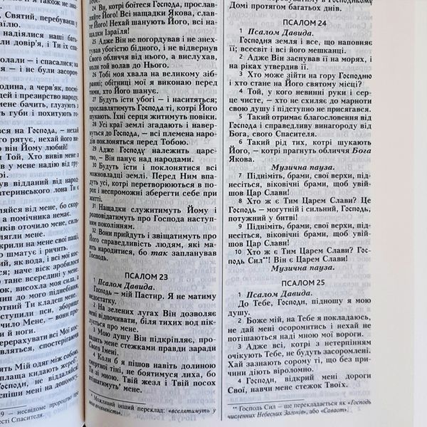 Біблія, сучасний переклад Р.Турконяка 89987 фото