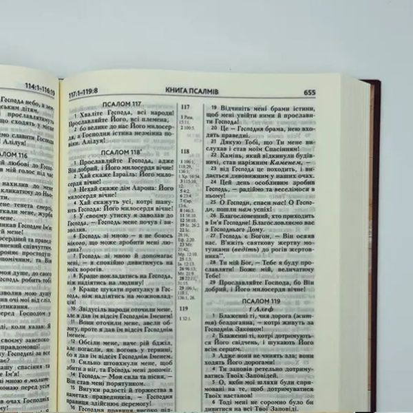 Біблія, 17*24  см, тверда (сучас.п) 33356657 фото