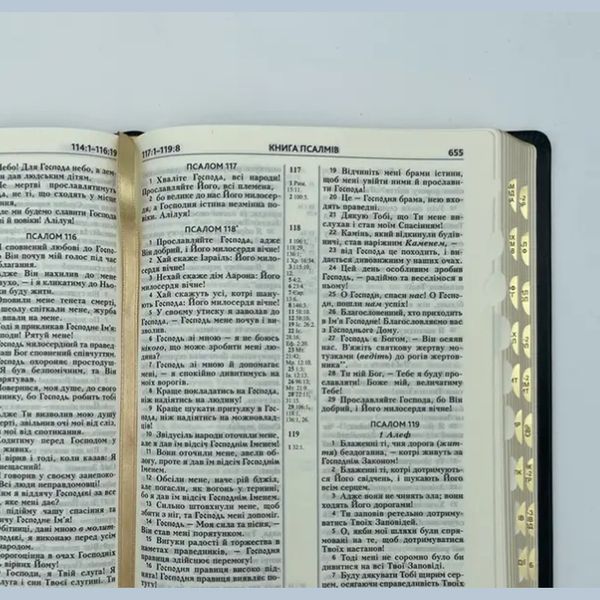 Біблія, 17*24  см, індекси, без молнії (сучас.п) 95879879 фото